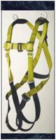 Ultra Safe harness 3